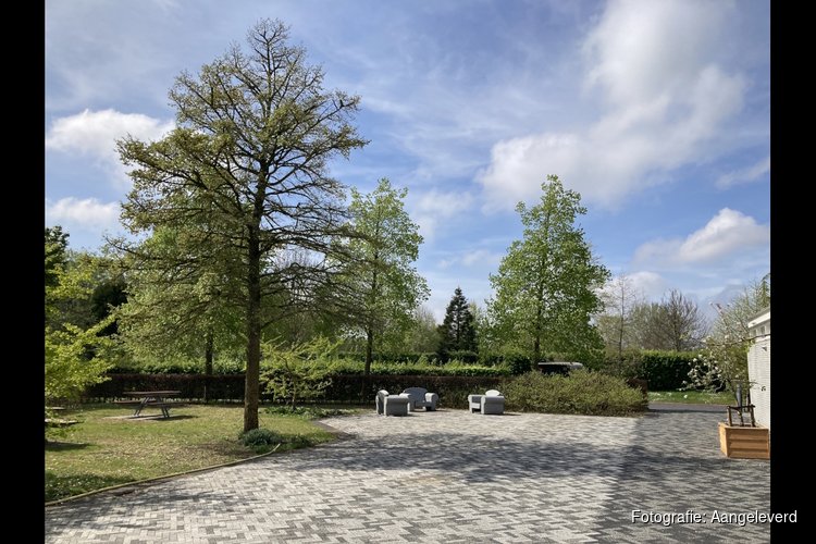 Langs bomen van Meerterpen
