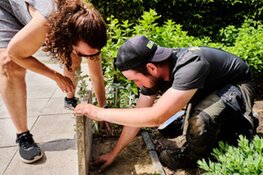 Groene impuls voor Rijsenhout tijdens succesvolle Tuinen Doe-dag