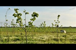 Rijkswaterstaat kiest voor groen in PARK21