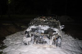 Auto gaat volledig in vlammen op bij nachtelijke autobrand in Nieuw Vennep