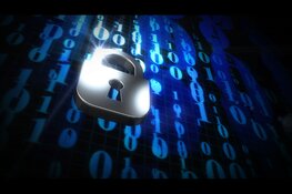 Bescherming van persoonsgegevens in het digitale tijdperk