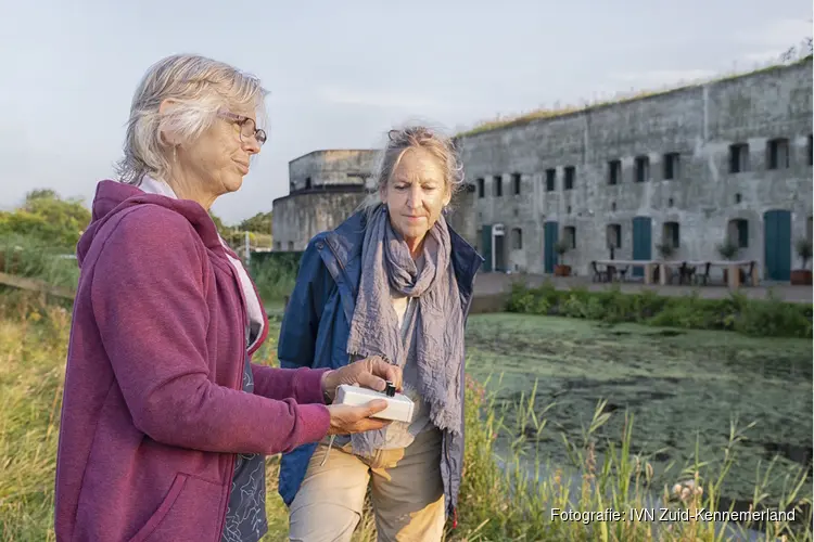Vleermuizen langs de Geniedijk