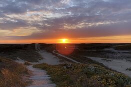 De mooiste badplaatsen die je vanuit de Haarlemmermeer gemakkelijk kunt bereiken