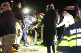 Vrouw en hond uit put gered in Vijfhuizen