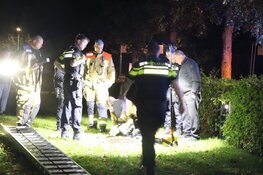 Vrouw en hond uit put gered in Vijfhuizen