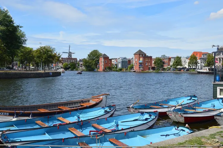 Haarlem groeit door: dit zijn de meest bezochte uitjes van 2025