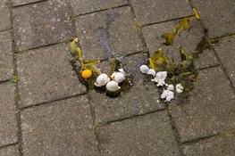 Demonstratie in Hoofddorp na uitspraak rechter over koranverbranding