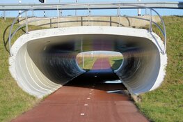 Streetartkunstwerk vier jaargetijden in fietstunnel Hoofddorp onthuld