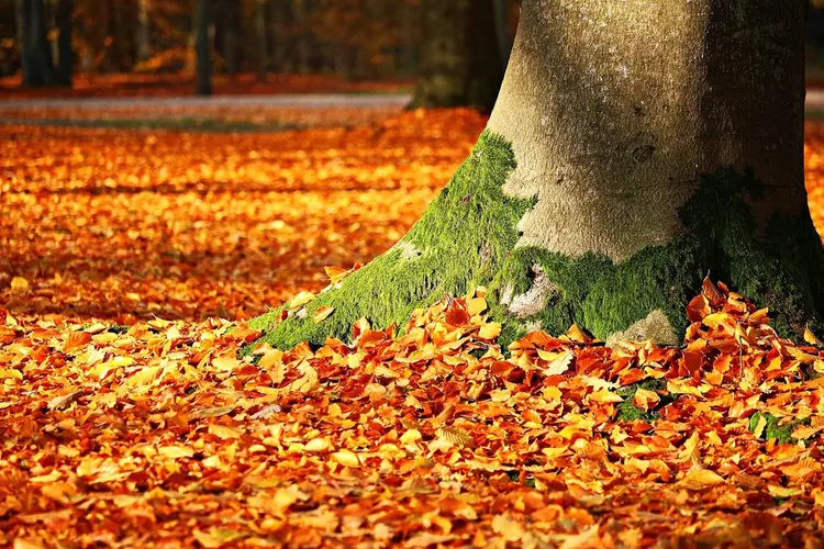 Herfstpret in Haarlemmermeer