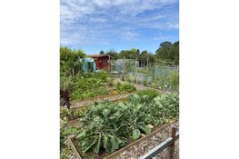 Word jij onze nieuwe tuinder bij Moestuinvereniging De Lijnden?