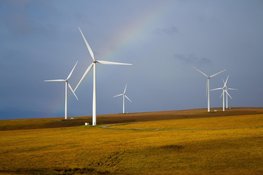 Denk mee over Windpark Waterwolf Haarlemmermeer-Zuid