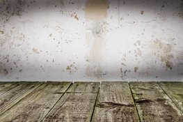 Hout beitsen voor bescherming en uitstraling
