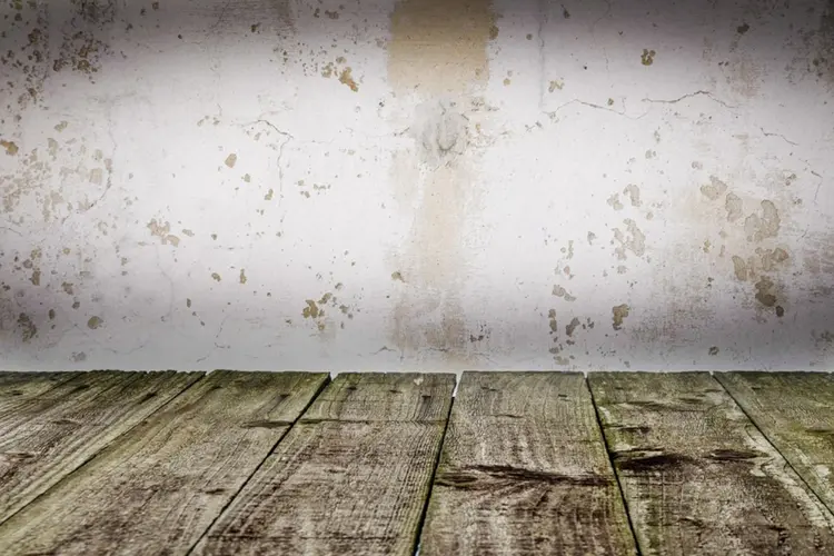 Hout beitsen voor bescherming en uitstraling