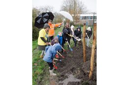 Basisschool De Reiger uit Lisserbroek plant 15 bomen op Nationale Boomfeestdag