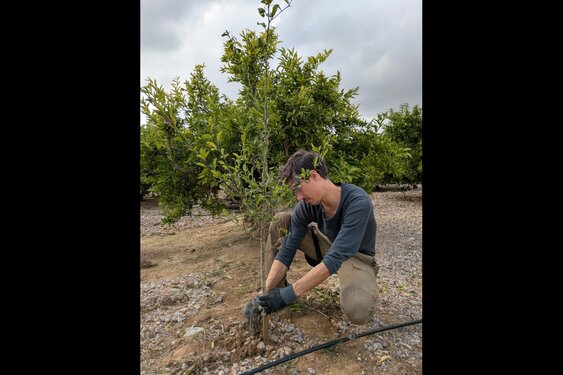 Wethouders planten boom bij Sportpark De Veldpost