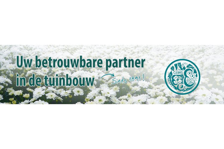 Gebr. Eveleens zoekt winkel verkoopmedewerker m/v