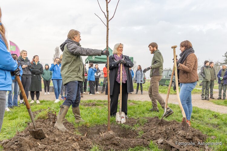 Kite en gemeente Haarlemmermeer planten laatste bomen Vliegerlaantje in de Venneperhout