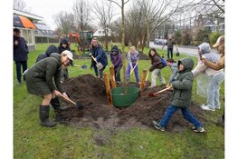 Kinderen vergroenen hun schoolplein op Boomfeestdag