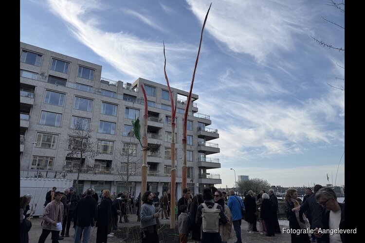 Vijf rietstengels van 12 meter markeren verleden, heden en toekomst van Cruquiuseiland