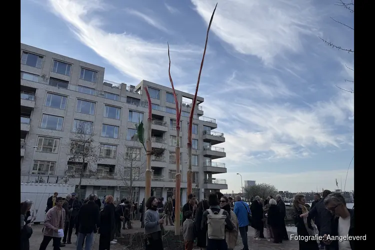 Vijf rietstengels van 12 meter markeren verleden, heden en toekomst van Cruquiuseiland