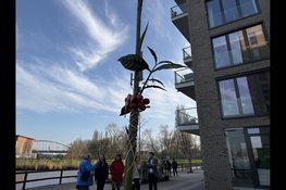 Vijf rietstengels van 12 meter markeren verleden, heden en toekomst van Cruquiuseiland