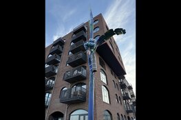 Vijf rietstengels van 12 meter markeren verleden, heden en toekomst van Cruquiuseiland