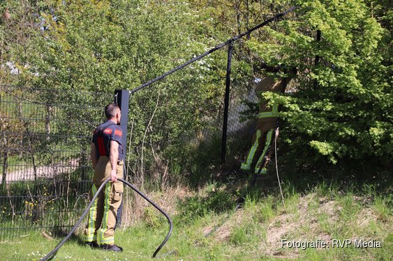 Bosjes in brand bij honkbalclub in Hoofddorp