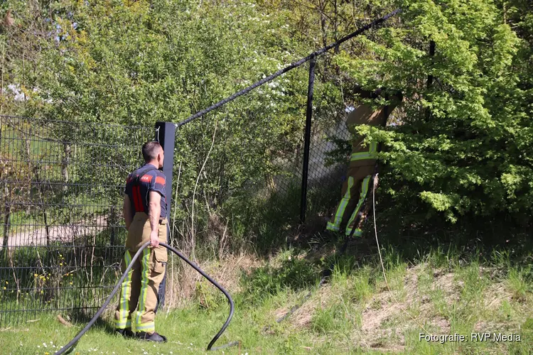 Bosjes in brand bij honkbalclub in Hoofddorp