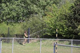 Bosjes in brand bij honkbalclub in Hoofddorp