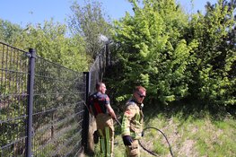 Bosjes in brand bij honkbalclub in Hoofddorp
