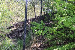 Bosjes in brand bij honkbalclub in Hoofddorp