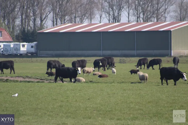 Landbouwportaal Noord-Holland open: vraag subsidie en advies aan