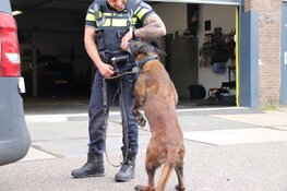 Gewonde en aanhouding na steekpartij in Zwaanshoek