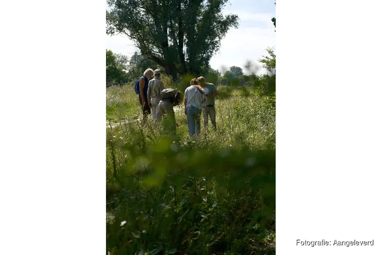 Vier Noord-Hollandse gemeenten brengen samen de biodiversiteit in kaart