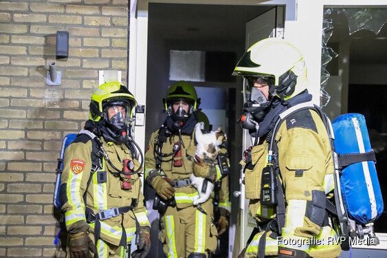 Brandweer redt kat bij woningbrand in Hoofddorp
