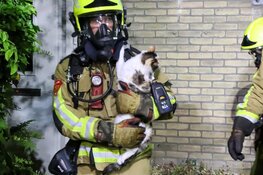 Brandweer redt kat bij woningbrand in Hoofddorp