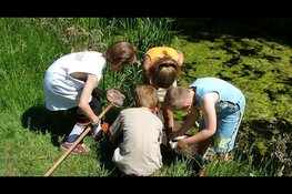 De Slootjesdag Haarlemmermeer