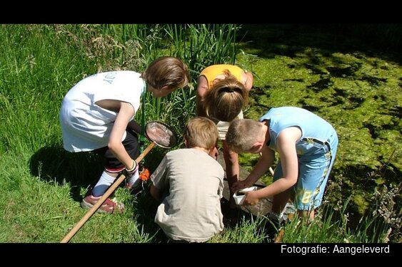 De Slootjesdag Haarlemmermeer