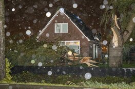 Veel schade door noodweer in Boesingheliede