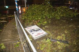 Veel schade door noodweer in Boesingheliede
