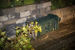 Veel schade door noodweer in Boesingheliede