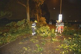 Veel schade door noodweer in Boesingheliede