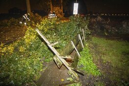 Veel schade door noodweer in Boesingheliede