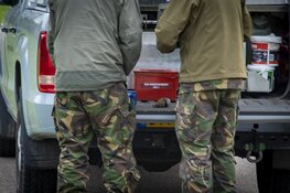 Handgranaat tot ontploffing gebracht bij Halfweg