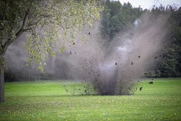 Handgranaat tot ontploffing gebracht bij Halfweg