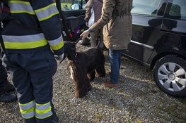 Belgische automobiliste met auto bijna te water