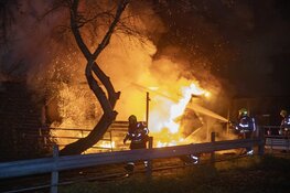 Paarden door brandweer uit vlammenzee gered in Halfweg