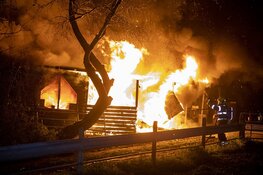 Paarden door brandweer uit vlammenzee gered in Halfweg