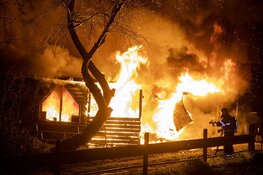 Paarden door brandweer uit vlammenzee gered in Halfweg