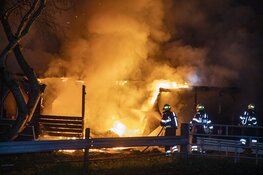 Paarden door brandweer uit vlammenzee gered in Halfweg